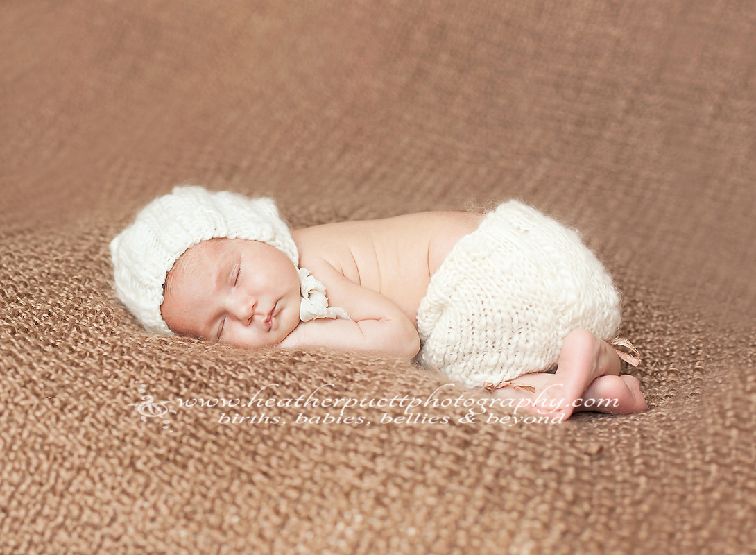 everett washington newborn photographer
