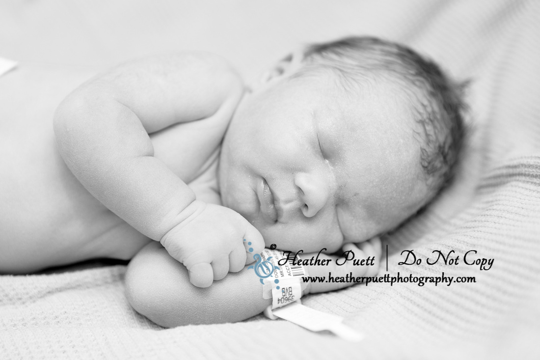 newborn photography marysville washington
