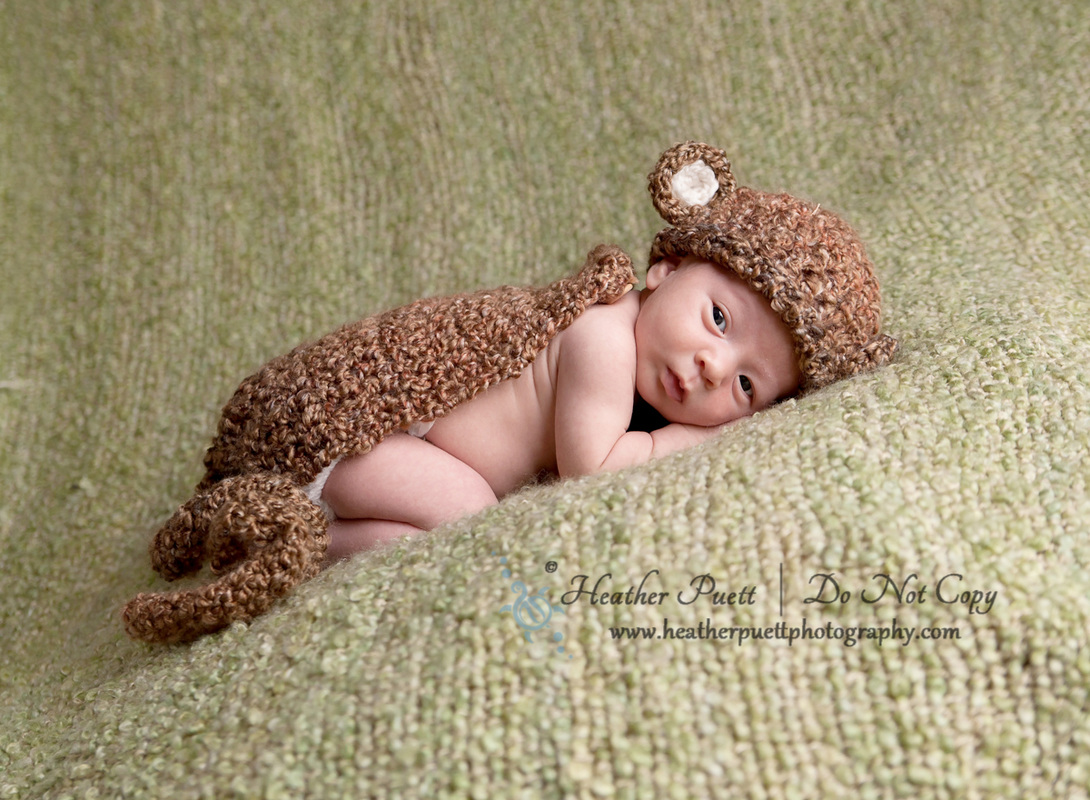 PictureMarysville Washington newborn photographer