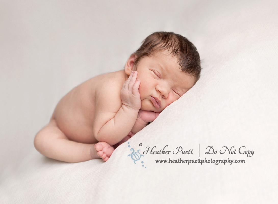 Marysville Washington Newborn Photographer