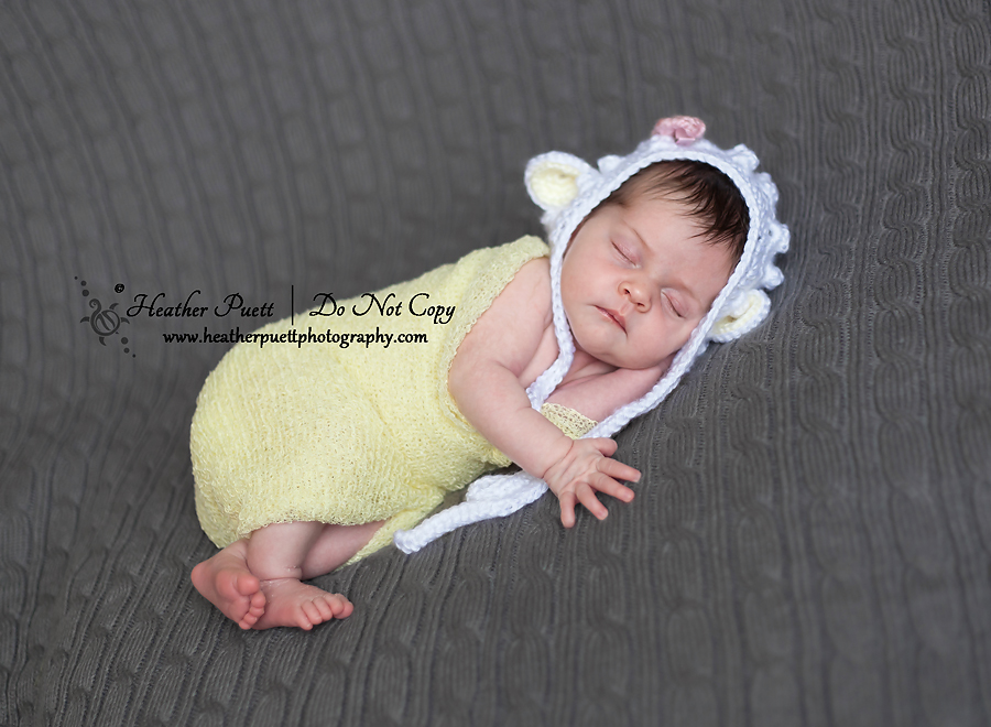 Washington State Newborn Photographer